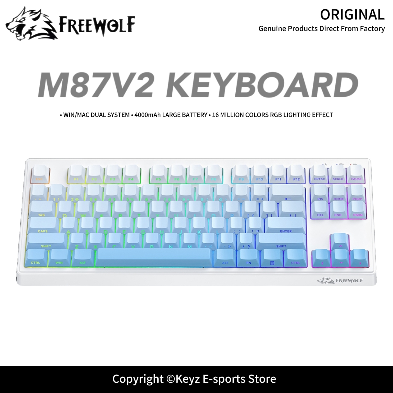 트라이 모드 게이밍 키보드 FREEWOLF M87V2  - Keyboard Gaming Transparent 리뷰 및 가격